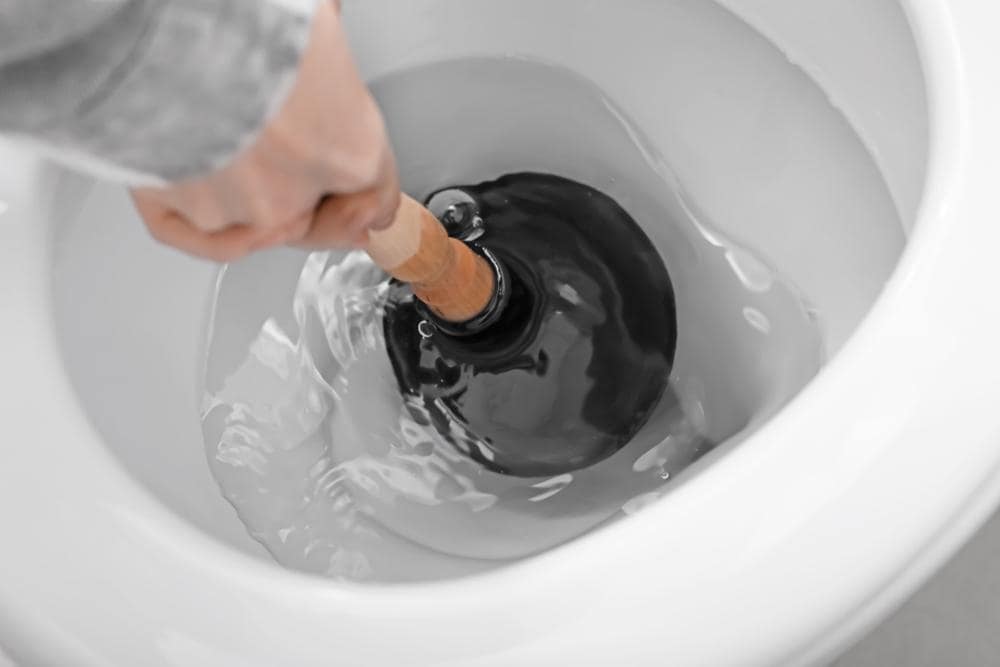 shutterstock 1363746527